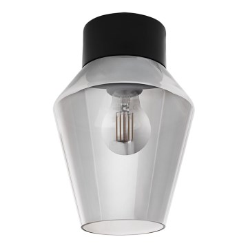 Eglo 97634 - Plafonjera VERELLI 1xE27/60W/230V