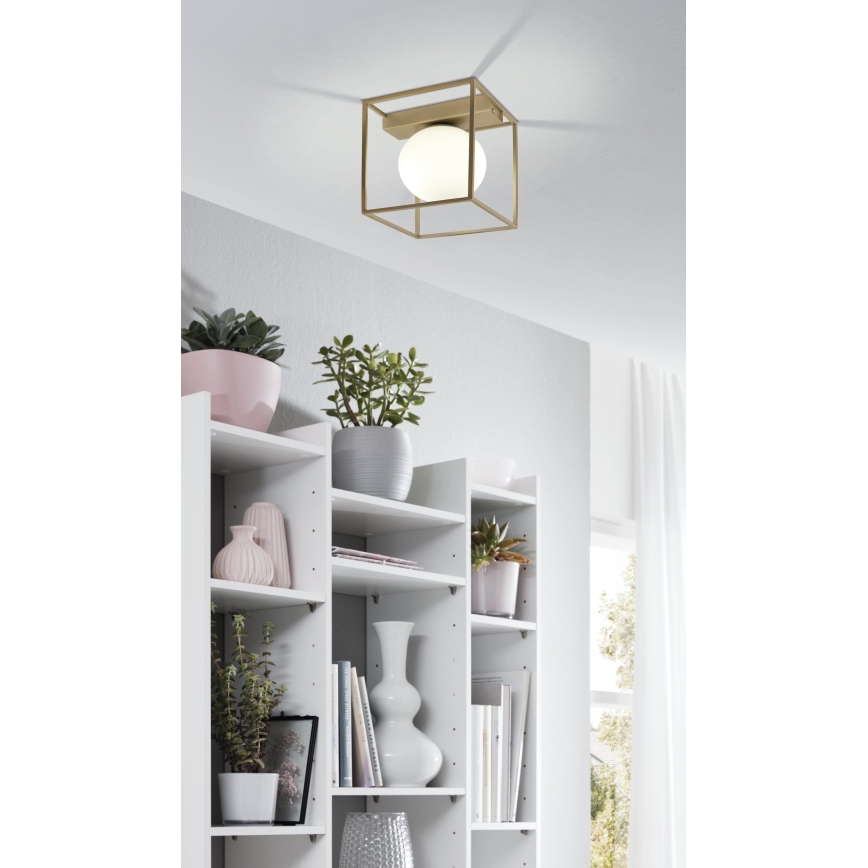 Eglo - Nadgradni luster 1xE14/40W/230V