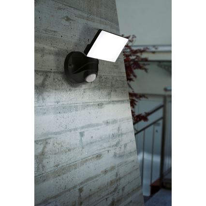 Eglo - LED Spoljašnja lampa sa senzorom LED/15W/230V IP44
