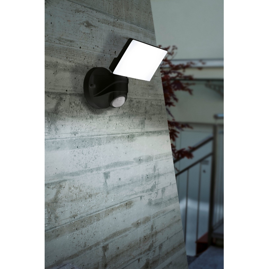 Eglo - LED Spoljašnja lampa sa senzorom LED/15W/230V IP44
