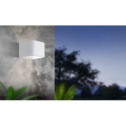 Eglo - LED Spoljna zidna lampa LED/6W/230V IP55