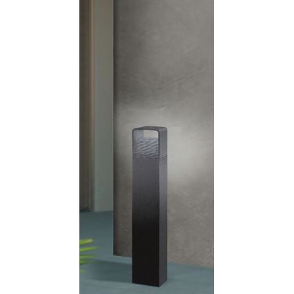Eglo - LED Spoljna lampa LED/6W/230V IP44