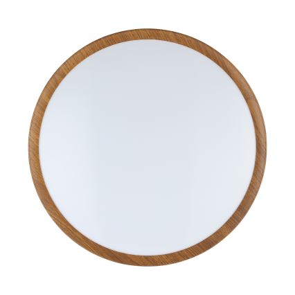 Eglo - LED Plafonjera LED/14,6W/230V