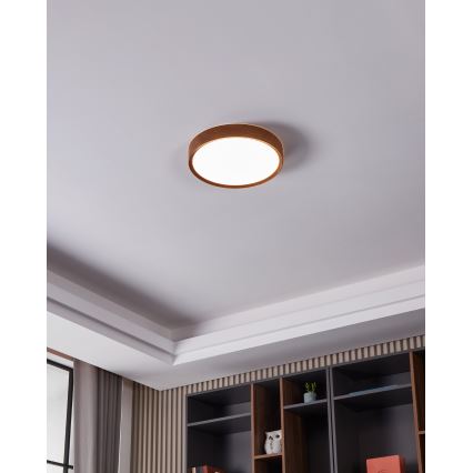 Eglo - LED Plafonjera LED/14,6W/230V