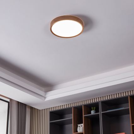 Eglo - LED Plafonjera LED/33,5W/230V