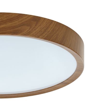 Eglo - LED Plafonjera LED/33,5W/230V
