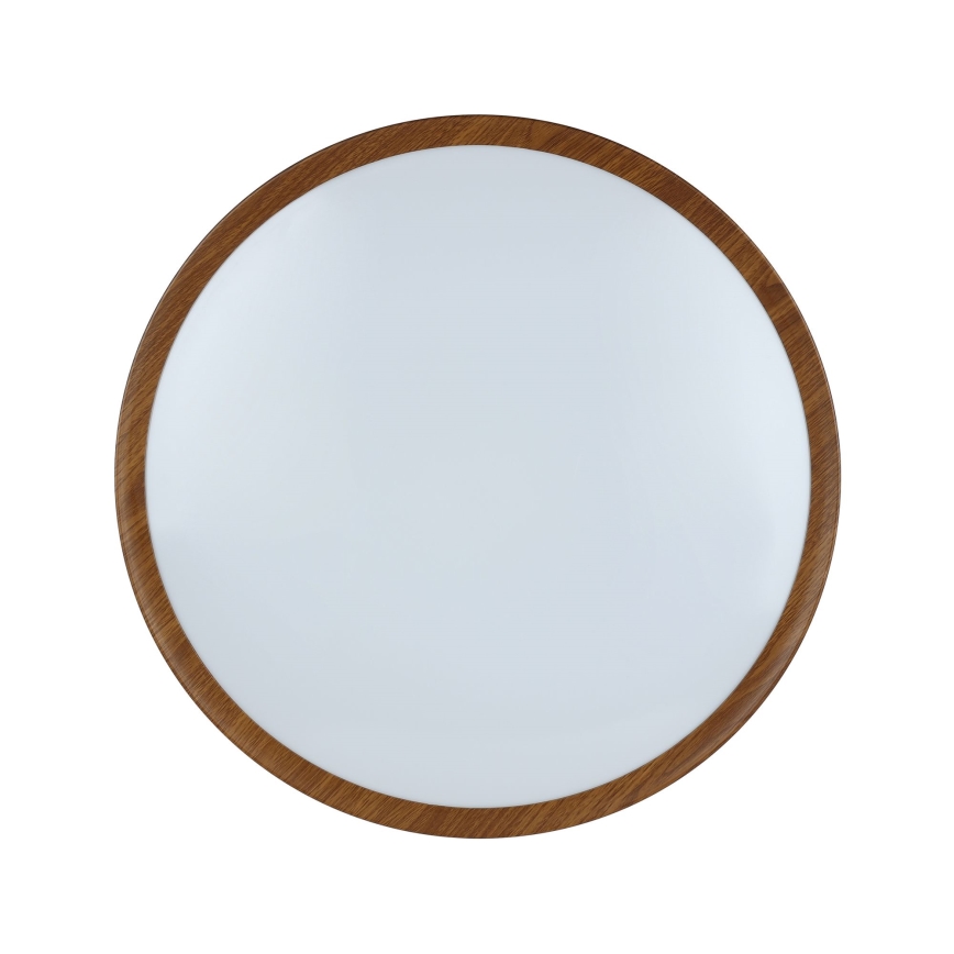 Eglo - LED plafonsko svetlo LED/33,5W/230V