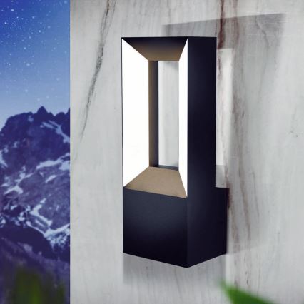 Eglo - LED spoljna zidna svetiljka 2xLED/5W/230V IP44