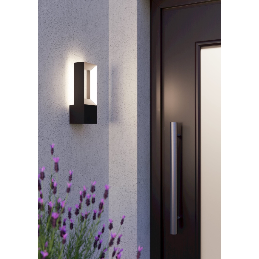 Eglo - LED Spoljna zidna lampa 2xLED/5W/230V IP44