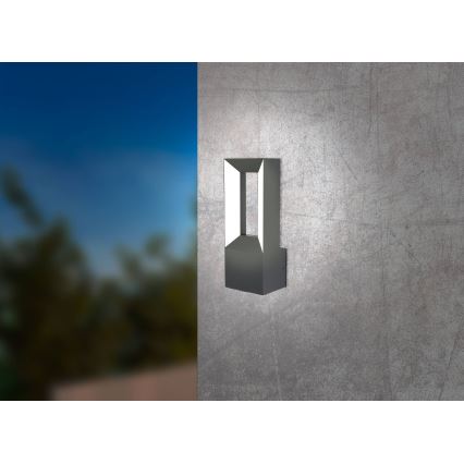 Eglo - LED Spoljna zidna lampa 2xLED/5W/230V IP44