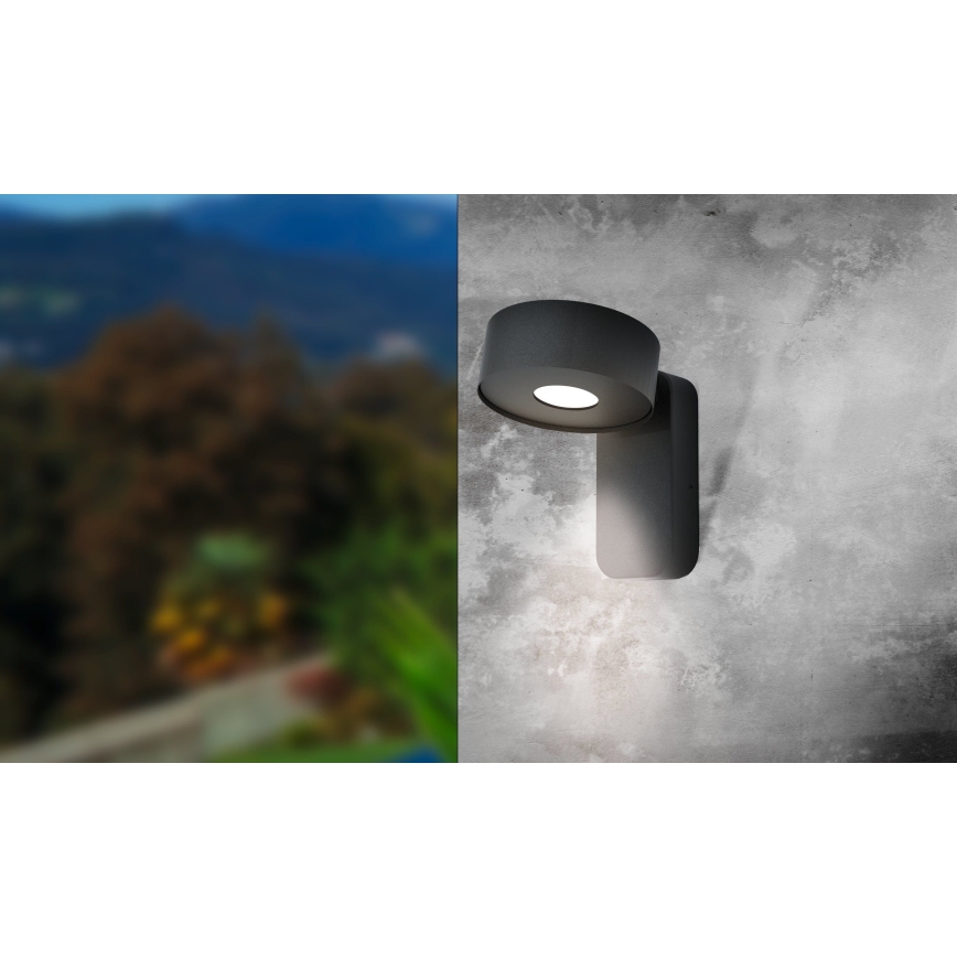 Eglo - LED Spoljna zidna lampa LED/6W/230V IP44