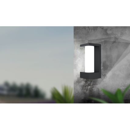 Eglo - LED Spoljna zidna lampa LED/6W/230V IP44