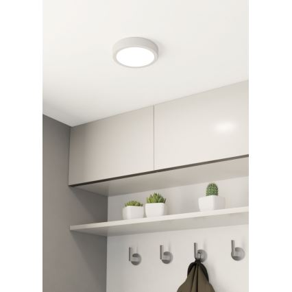 Eglo - LED Plafonjera LED/10,5W/230V