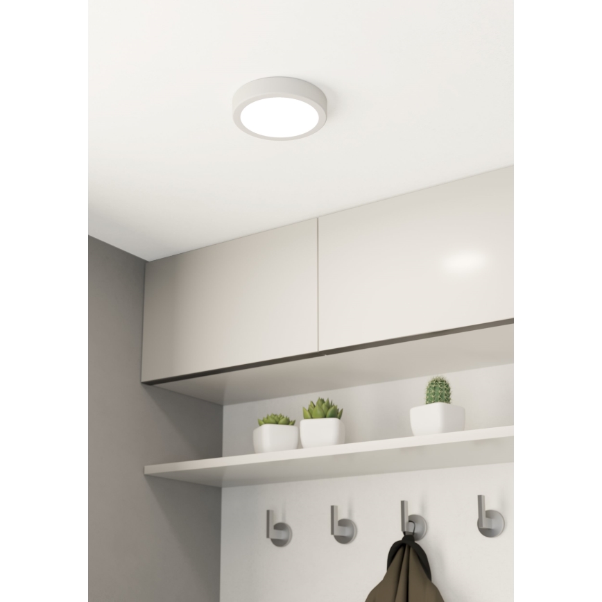 Eglo - LED Plafonjera LED/10,5W/230V