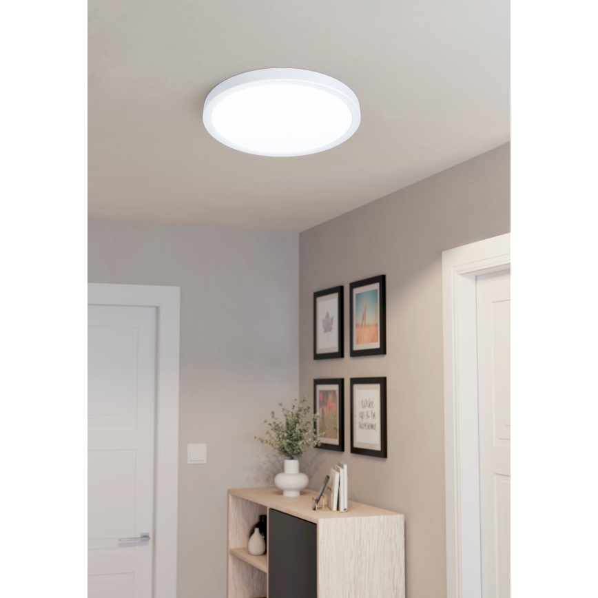 Eglo - LED Plafonjera LED/20W/230V
