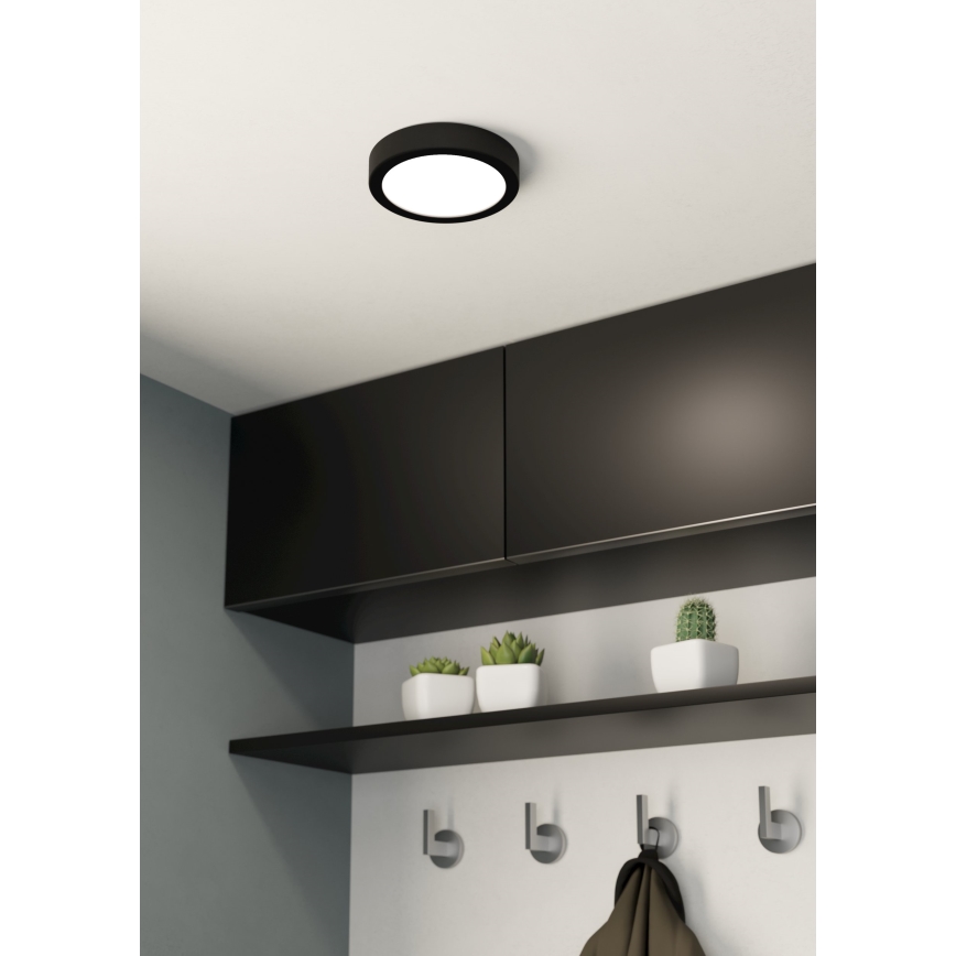 Eglo - LED Plafonjera LED/10,5W/230V