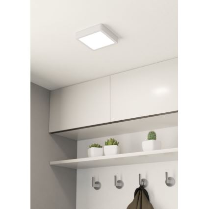 Eglo - LED Plafonjera LED/10,5W/230V