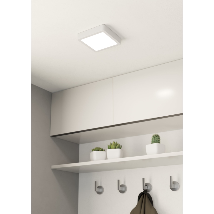 Eglo - LED Plafonjera LED/10,5W/230V