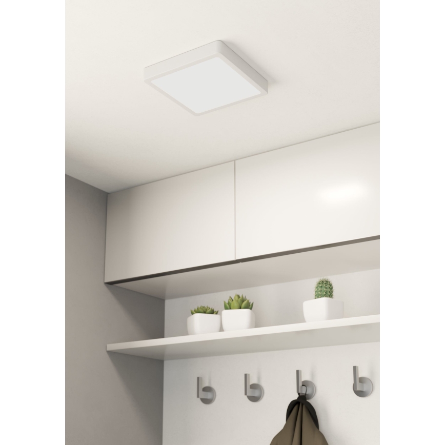 Eglo - LED Plafonjera LED/16,5W/230V