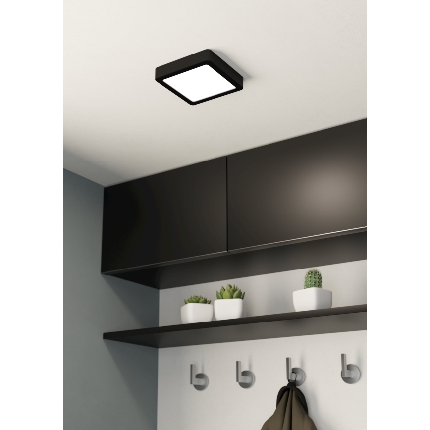 Eglo - LED Plafonjera LED/10,5W/230V