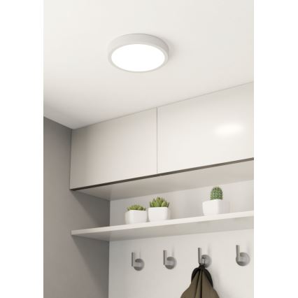 Eglo - LED Prigušiva plafonjera LED/16,5W/230V