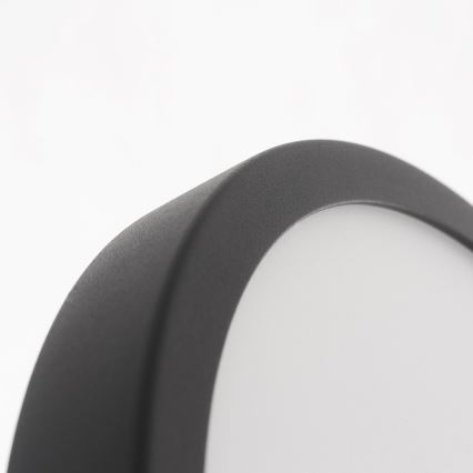 Eglo - LED plafonsko svetlo za kupatilo, 20 W, 230 V, IP44, prečnik 28,5 cm