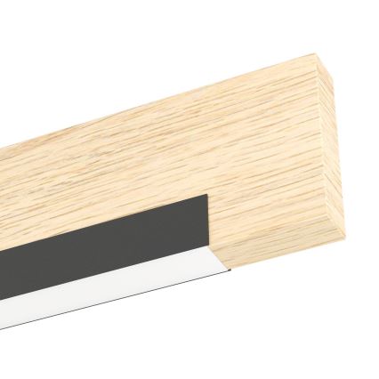 Eglo - LED Zidna lampa LED/9,6W/230V