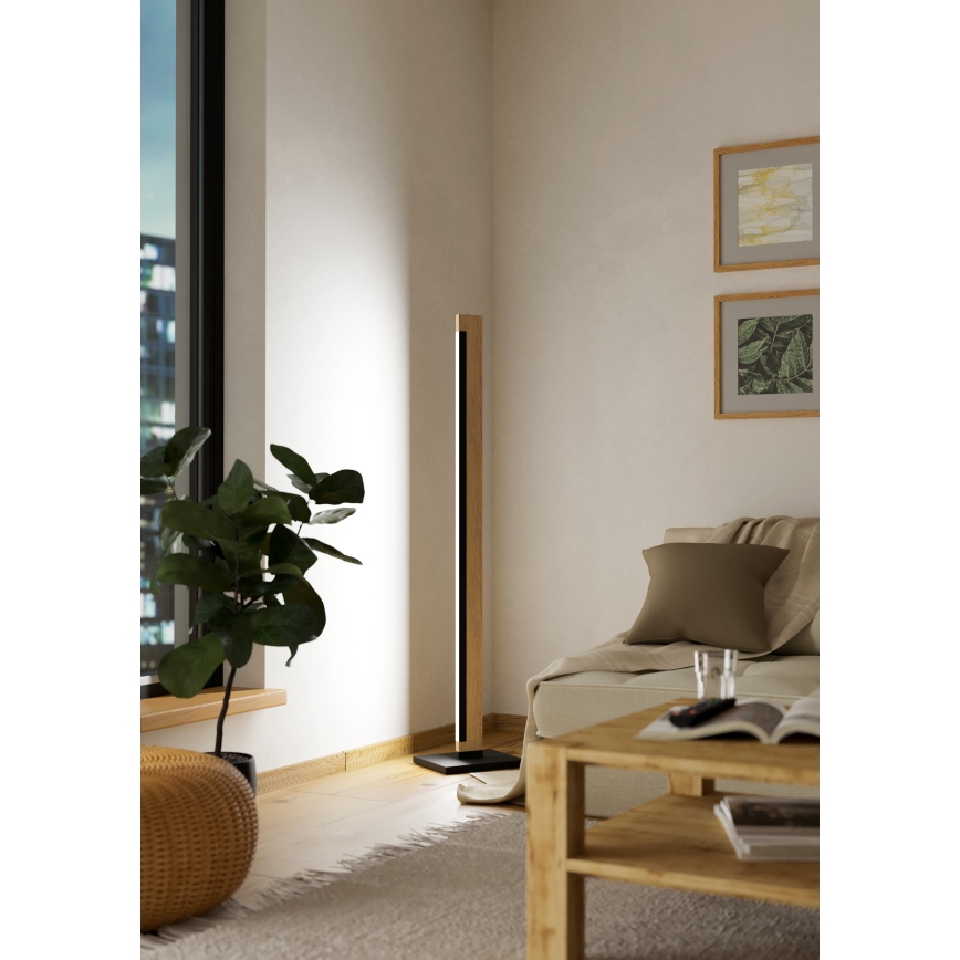 Eglo - LED Prigušiva dodirna stojeća lampa CAMACHO LED/22W/230V