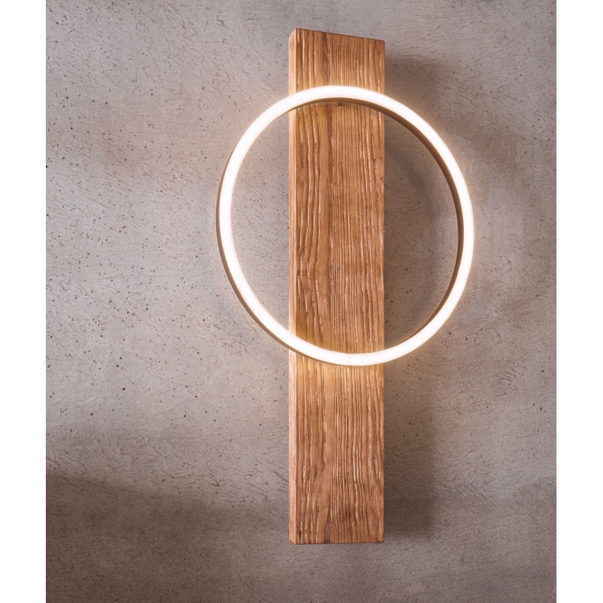 Eglo - LED Zidna lampa LED/12W/230V