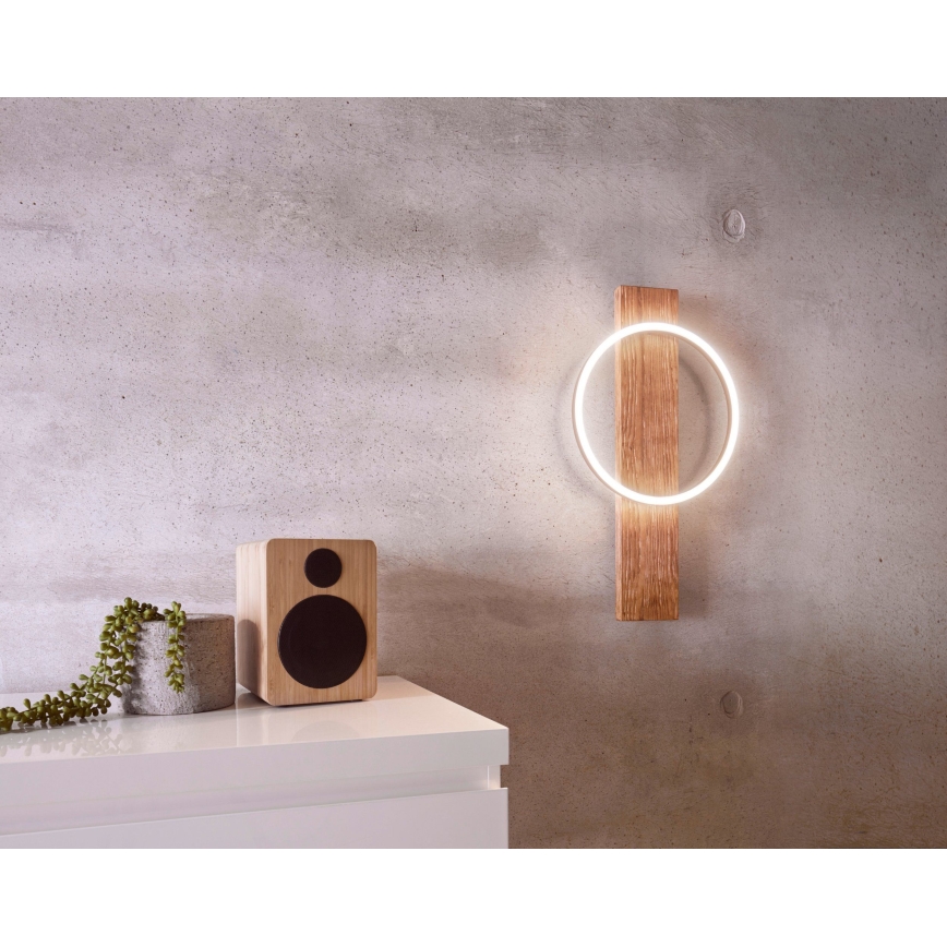 Eglo - LED Zidna lampa LED/12W/230V