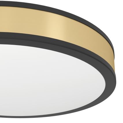 Eglo - LED Plafonjera LED/24W/230V
