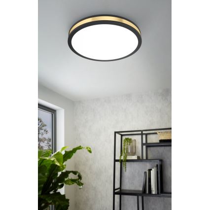 Eglo - LED Plafonjera LED/24W/230V
