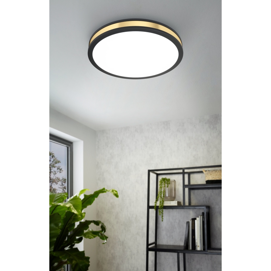 Eglo - LED Plafonjera LED/24W/230V