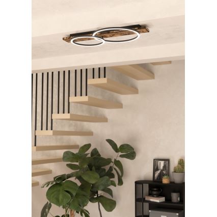 Eglo - LED Plafonjera 2xLED/12W/230V