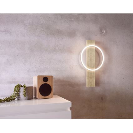 Eglo - LED Zidna lampa LED/12W/230V