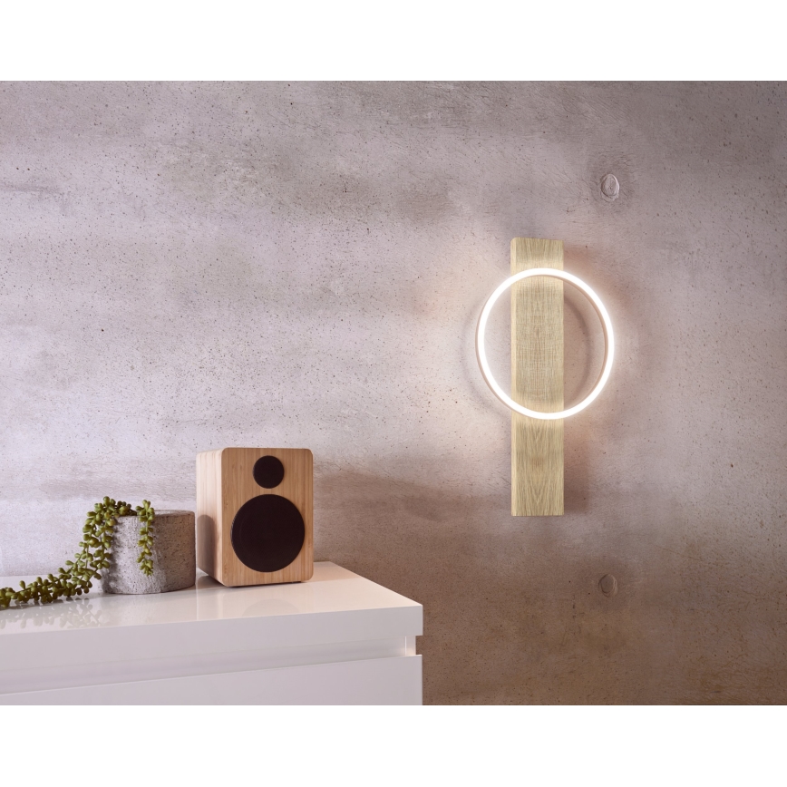 Eglo - LED Zidna lampa LED/12W/230V