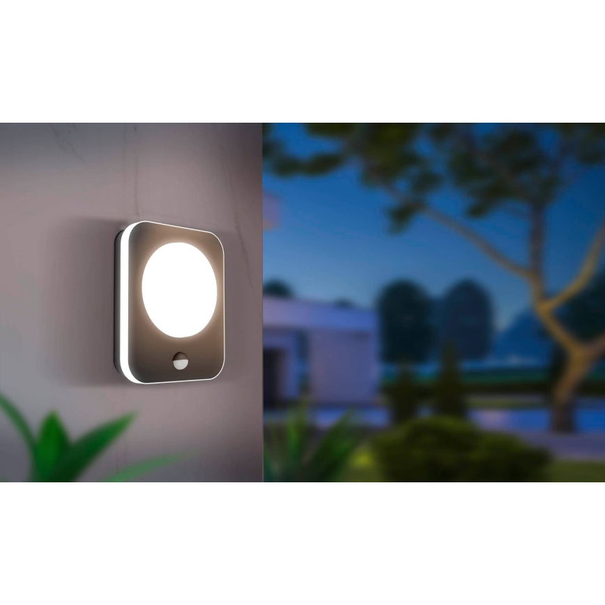 Eglo - LED spoljna zidna svetiljka sa senzorom LED/9W/230V IP44