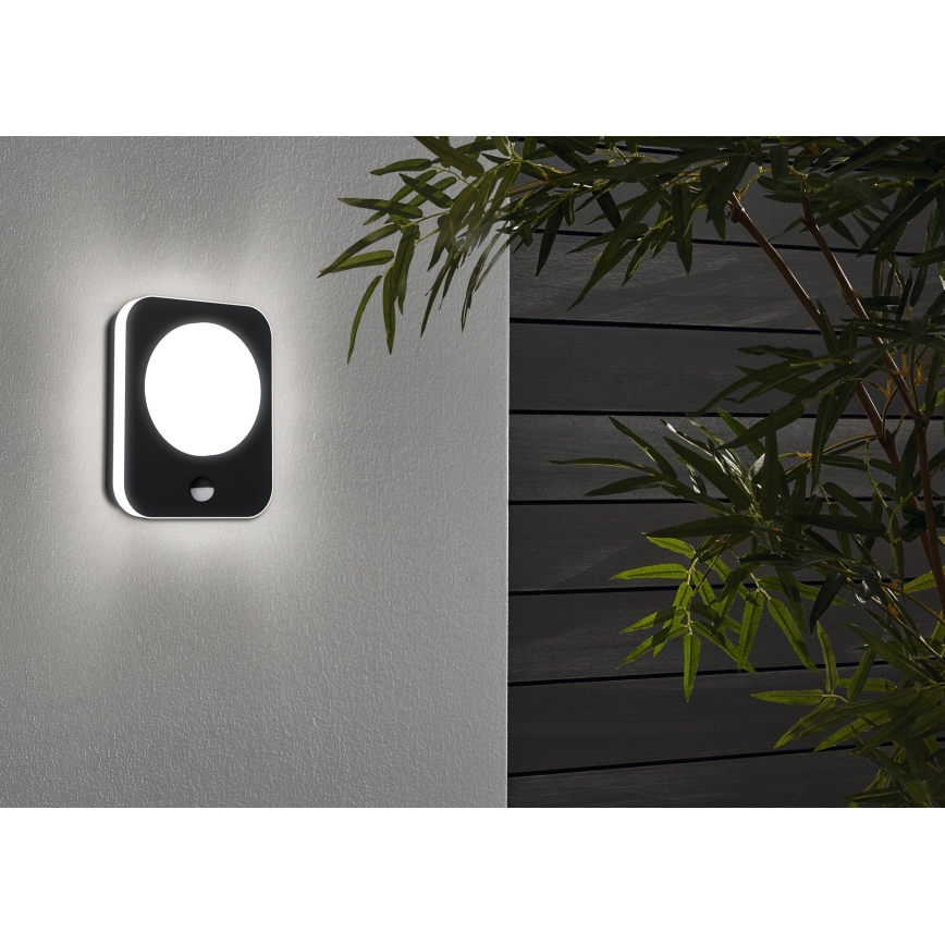 Eglo - LED spoljna zidna svetiljka sa senzorom LED/9W/230V IP44