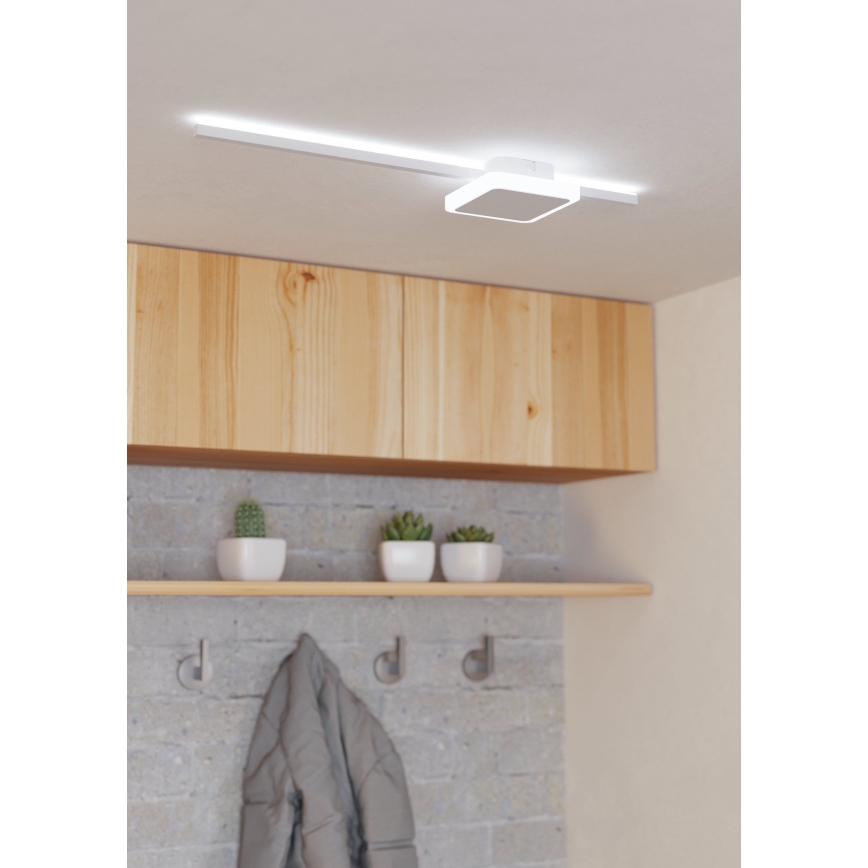 Eglo - LED plafonsko svetlo 1xLED/6,3W/230V + 1xLED/5,4W