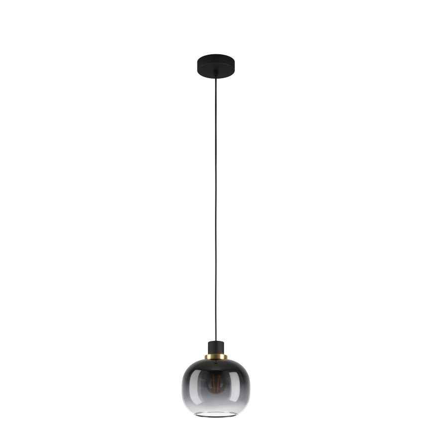 Eglo - Luster na sajli 1xE27/40W/230V sivo