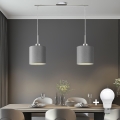 Eglo - LED  Luster na sajli TUNJA 2xE27/60W/230V sivo