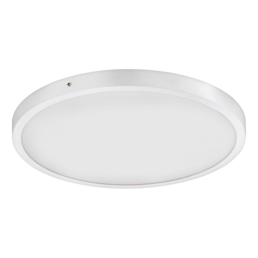 Eglo - LED Plafonjera 1xLED/25W/230V bela okrugli 4000K