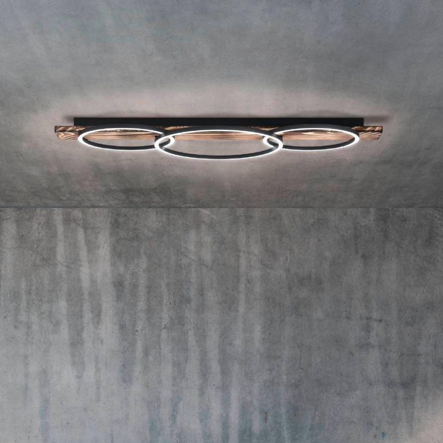 Eglo - LED Plafonjera 2xLED/12W/230V + LED/12W