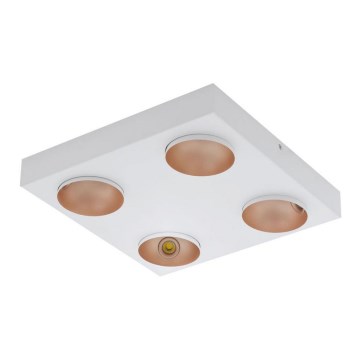Eglo - LED Plafonjera 4xLED/3,3W/230V