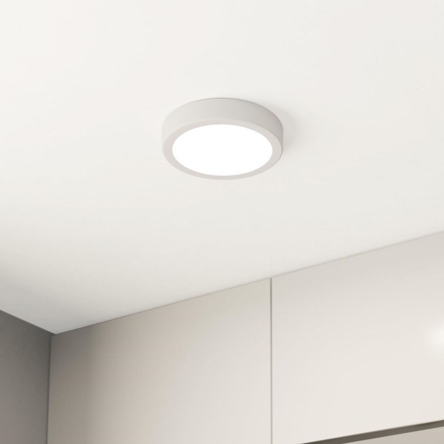 Eglo - LED Plafonjera LED/10,5W/230V