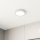 Eglo - LED Plafonjera LED/10,5W/230V
