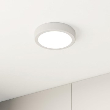 Eglo - LED Plafonjera LED/10,5W/230V