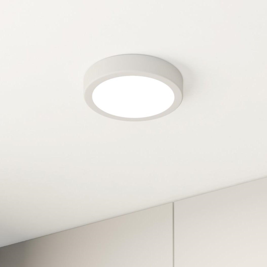 Eglo - LED Plafonjera LED/10,5W/230V