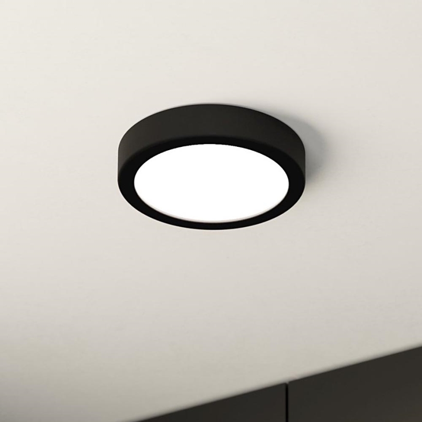Eglo - LED Plafonjera LED/10,5W/230V