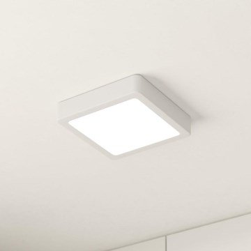 Eglo - LED Plafonjera LED/10,5W/230V